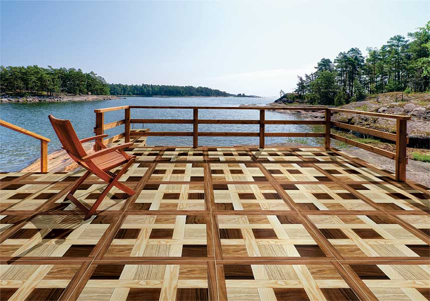 Corsican Pine