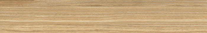 Burma Oak
