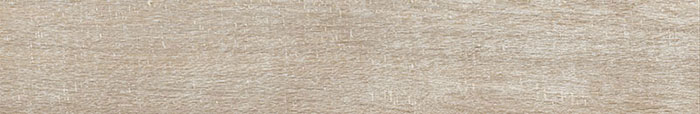 Cyprus Pine