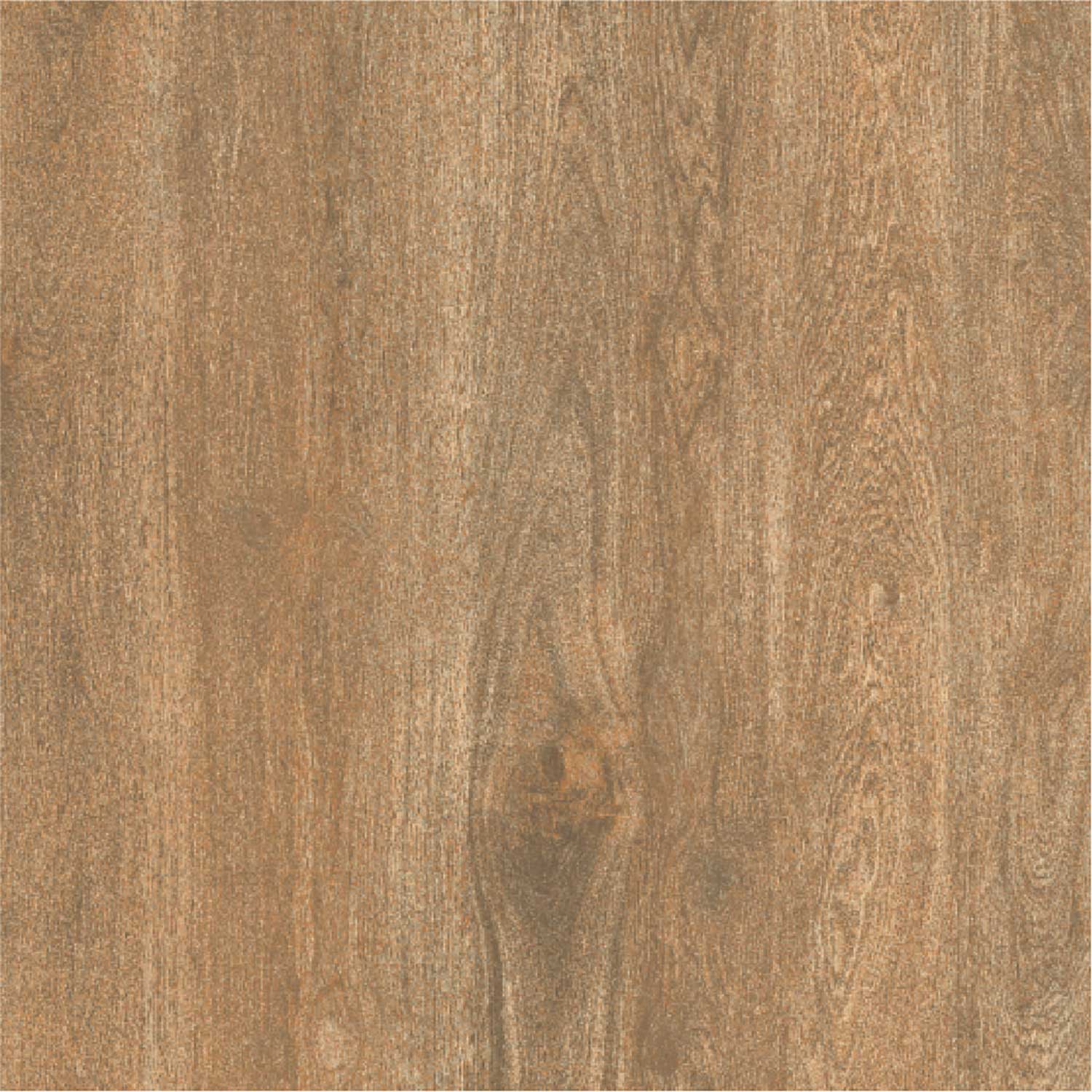Assam Rosewood