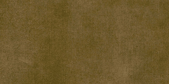 Amya Bronze