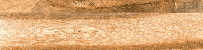 Ekaba Oak