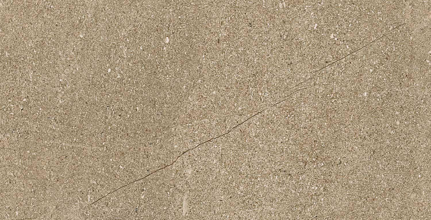 Beech Bronze