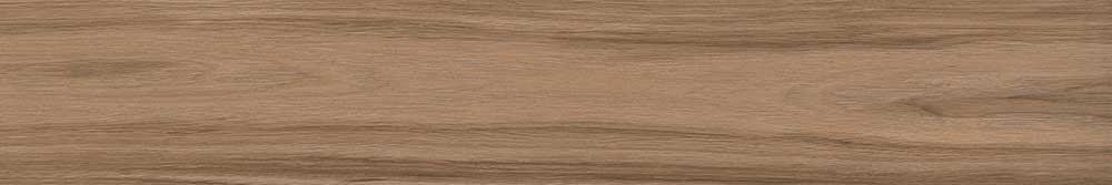 Treviso Teak