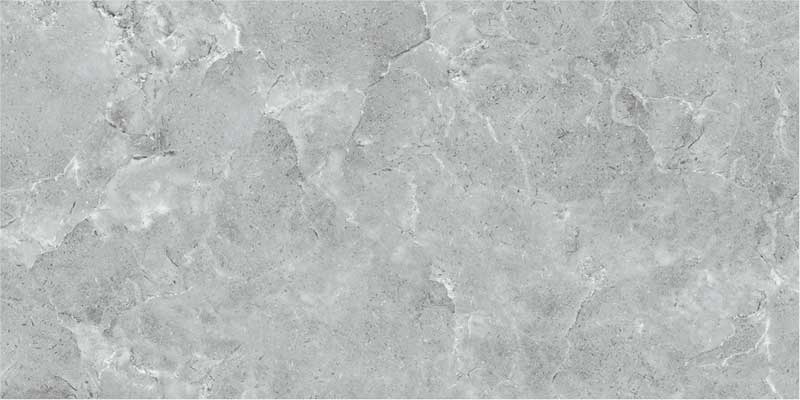 Tolosa Grey