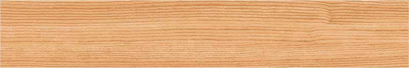 Tanzania Oak