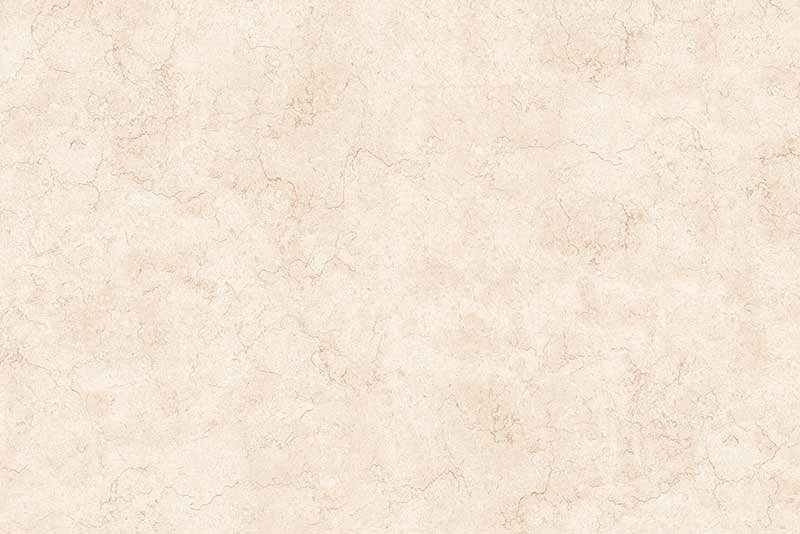 Elegant Beige