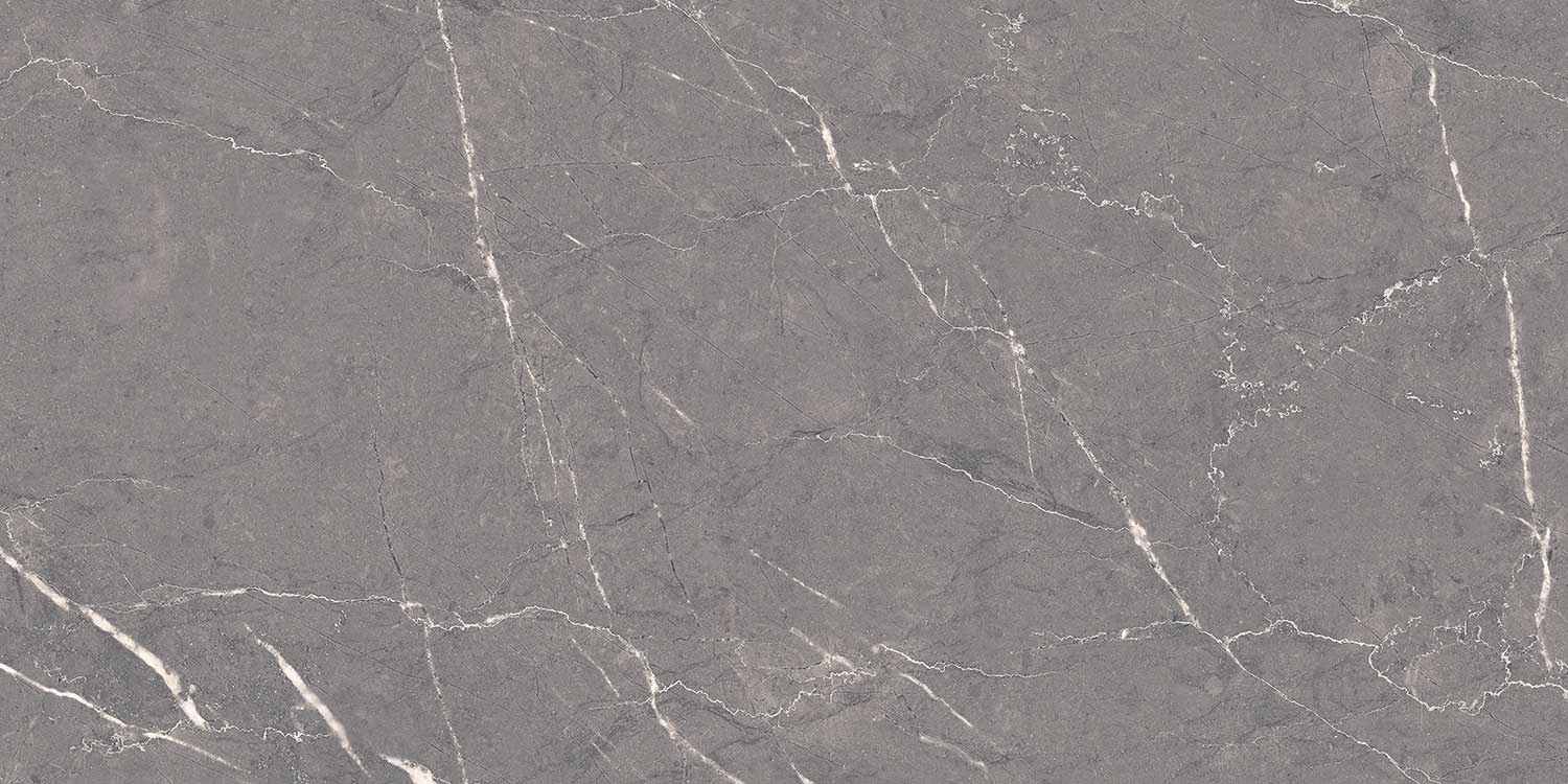 Altroz Gris