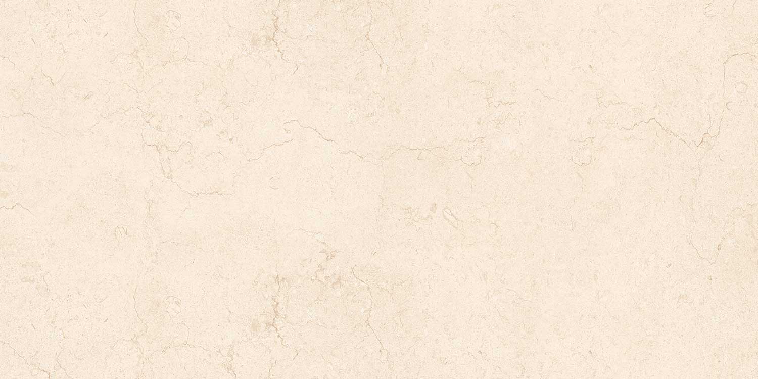 Elegant Beige