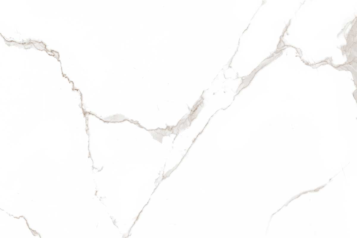 Calacatta Dove