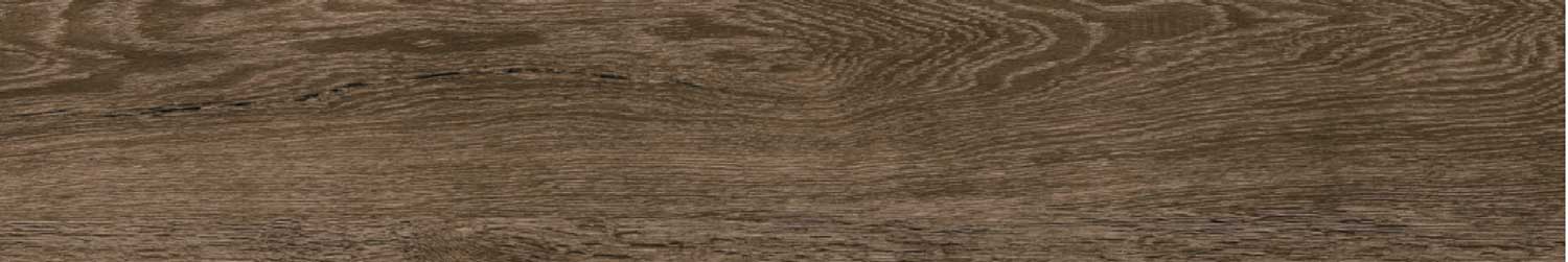 Toronto Walnut