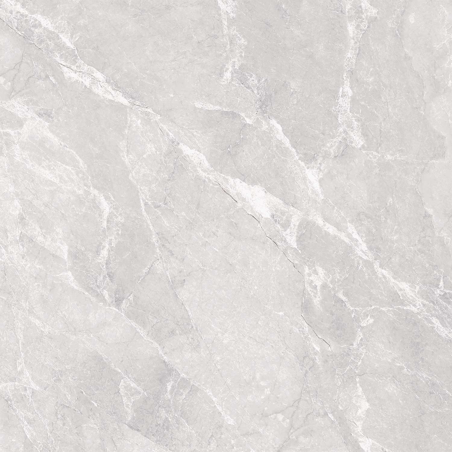 Venchy Grey