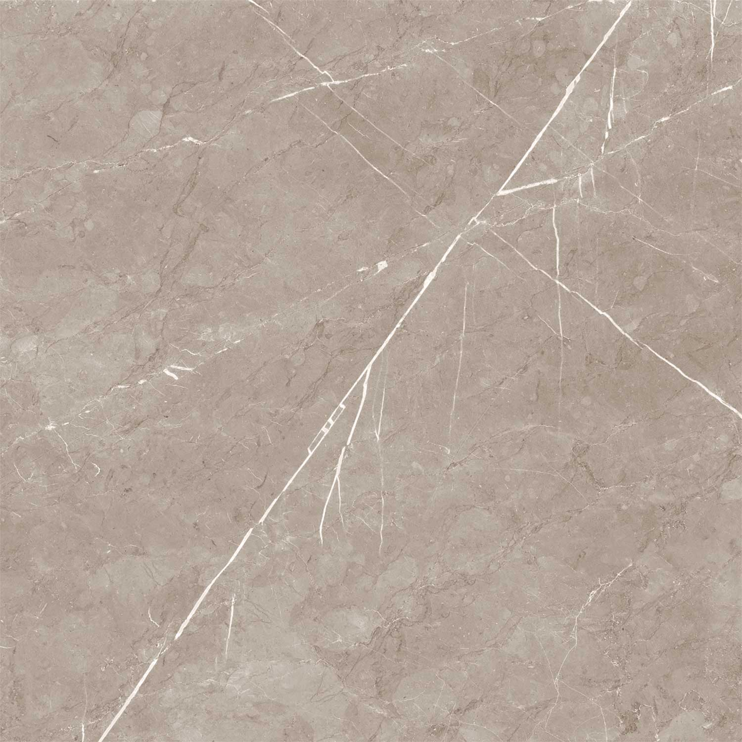 Everon Taupe