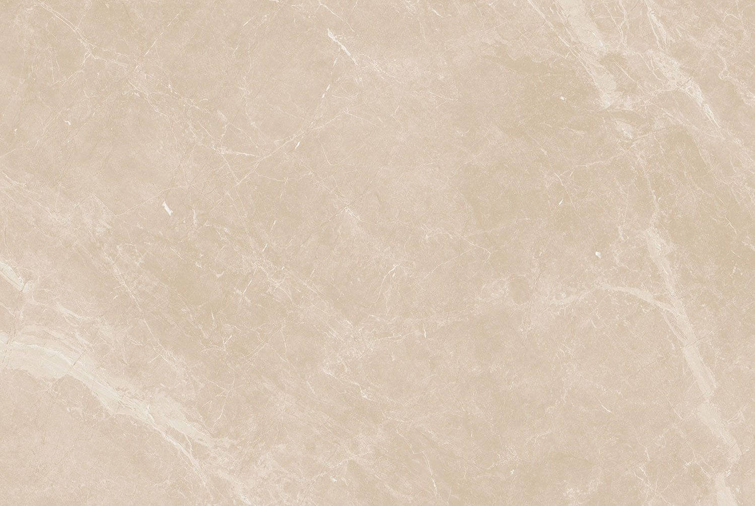 Dynamic Beige