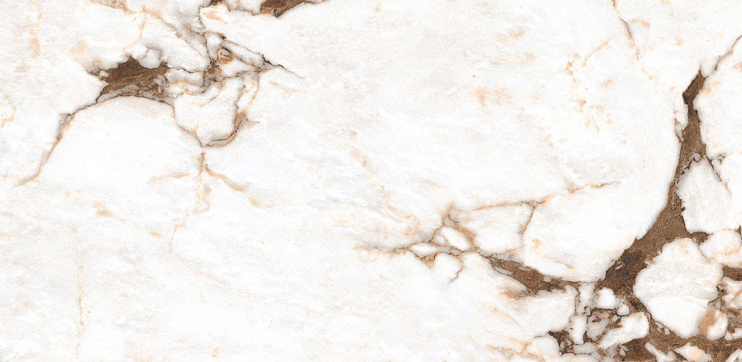 Oyster White
