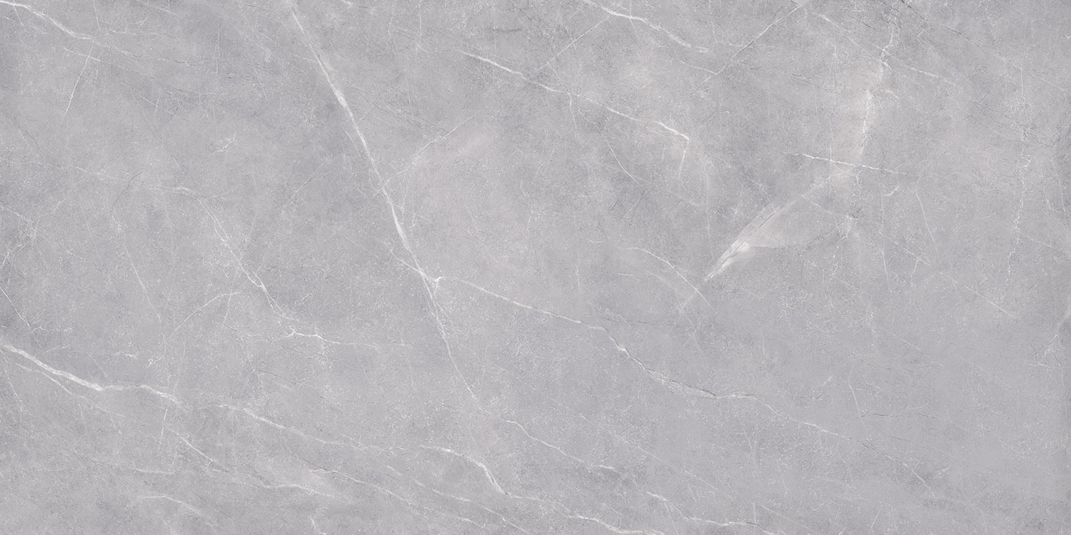Pavit Grey Beyond