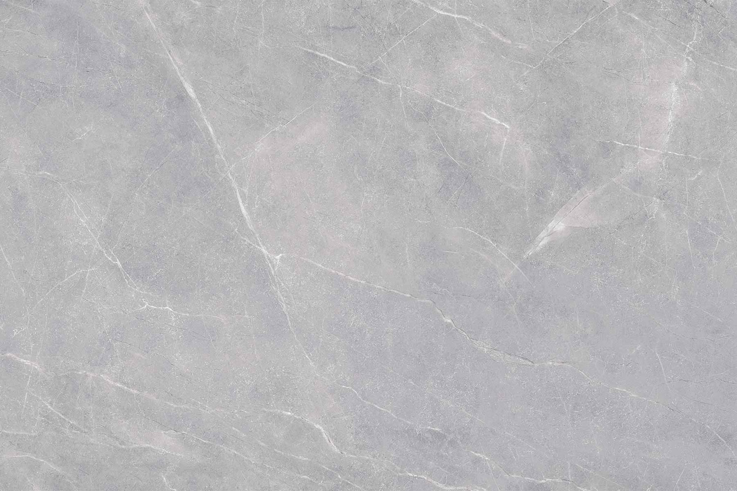 Pavit Grey Beyond