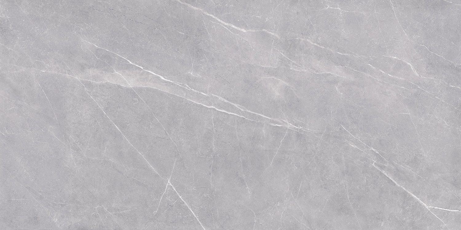 Pavit Grey Beyond