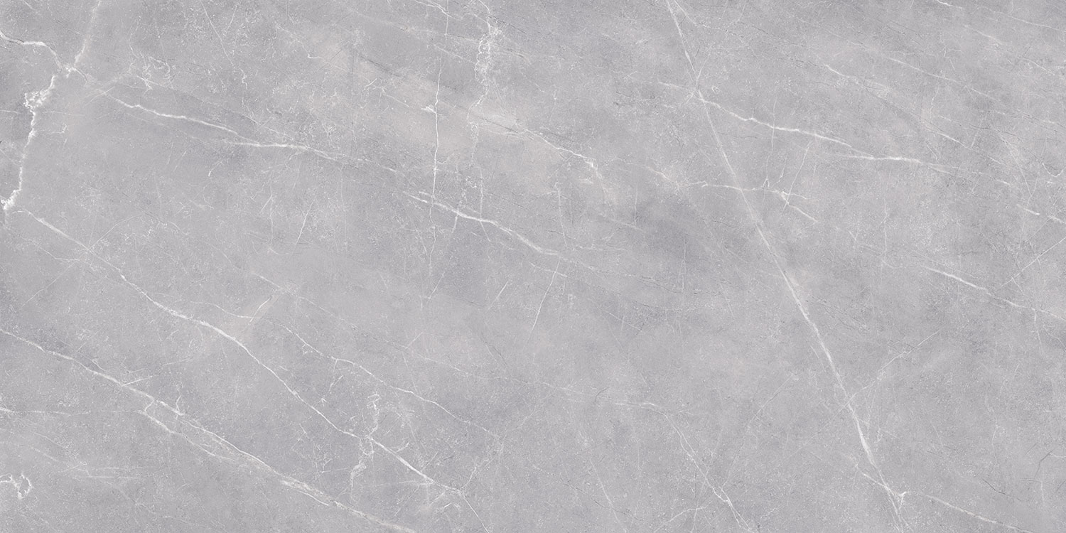 Pavit Grey Beyond