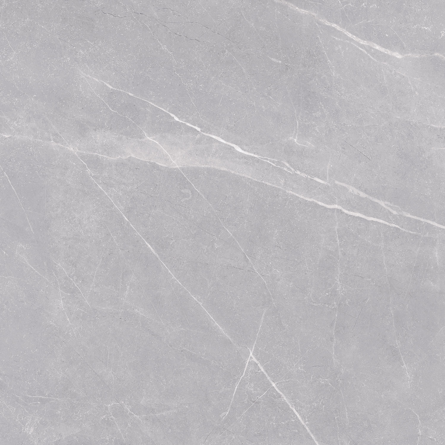 Pavit Grey Beyond