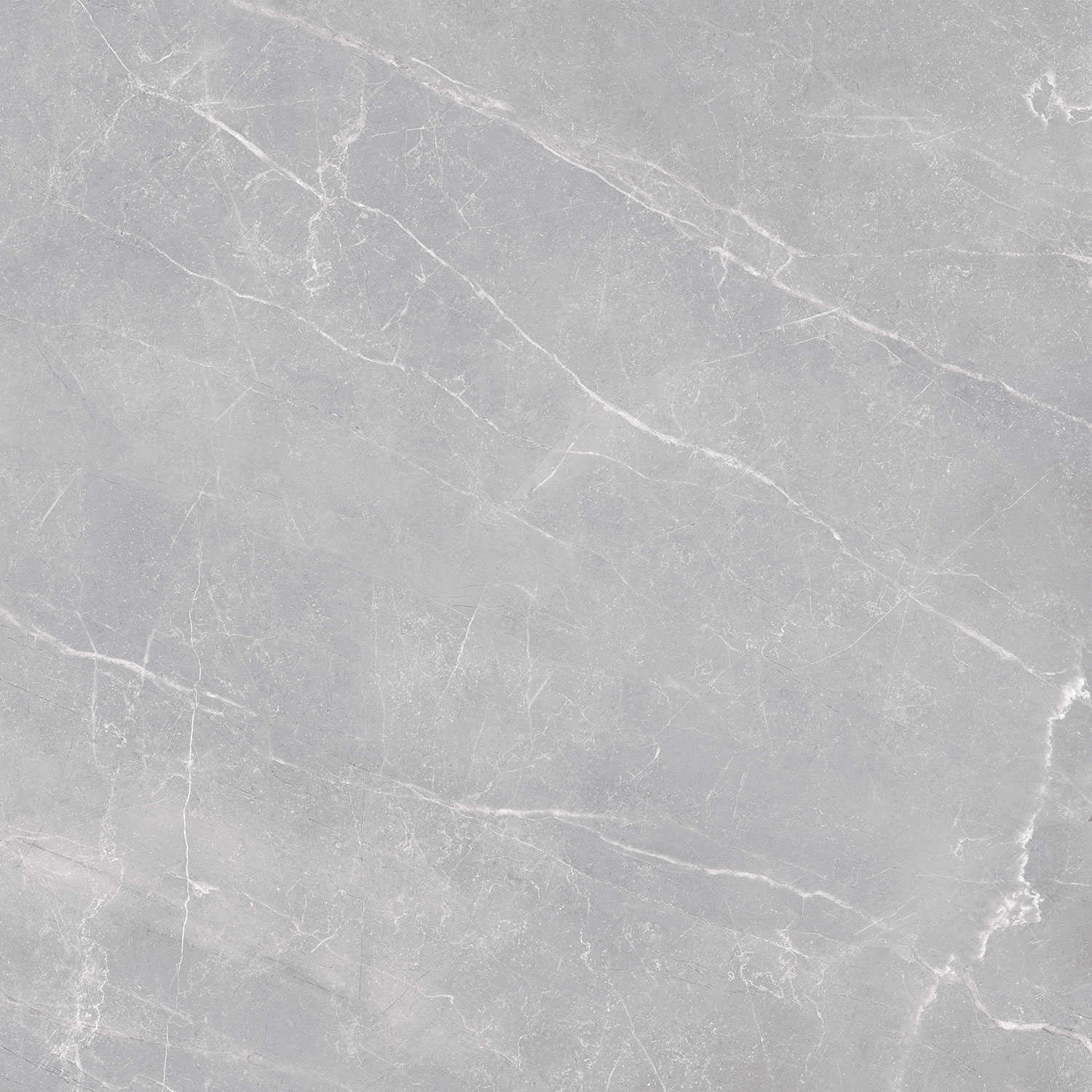 Pavit Grey Beyond