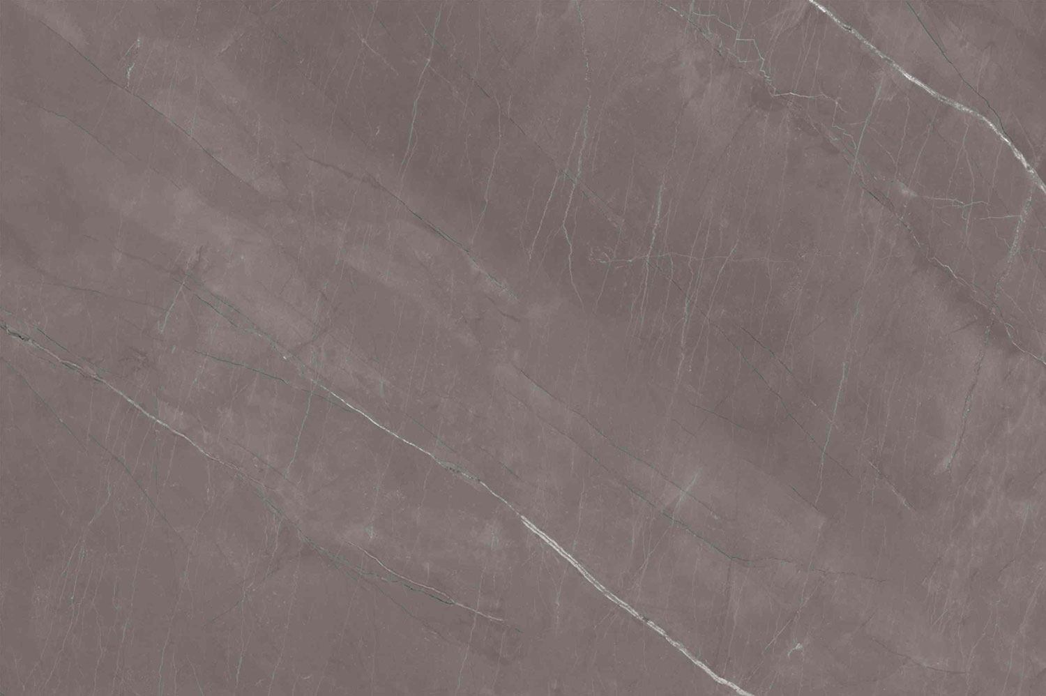Pulpis Gris