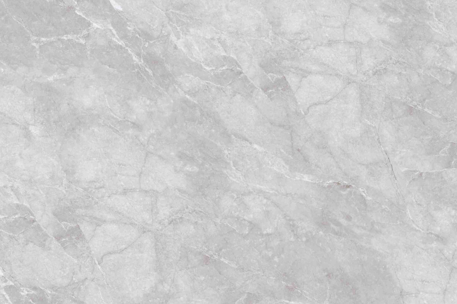 Venchy Grey