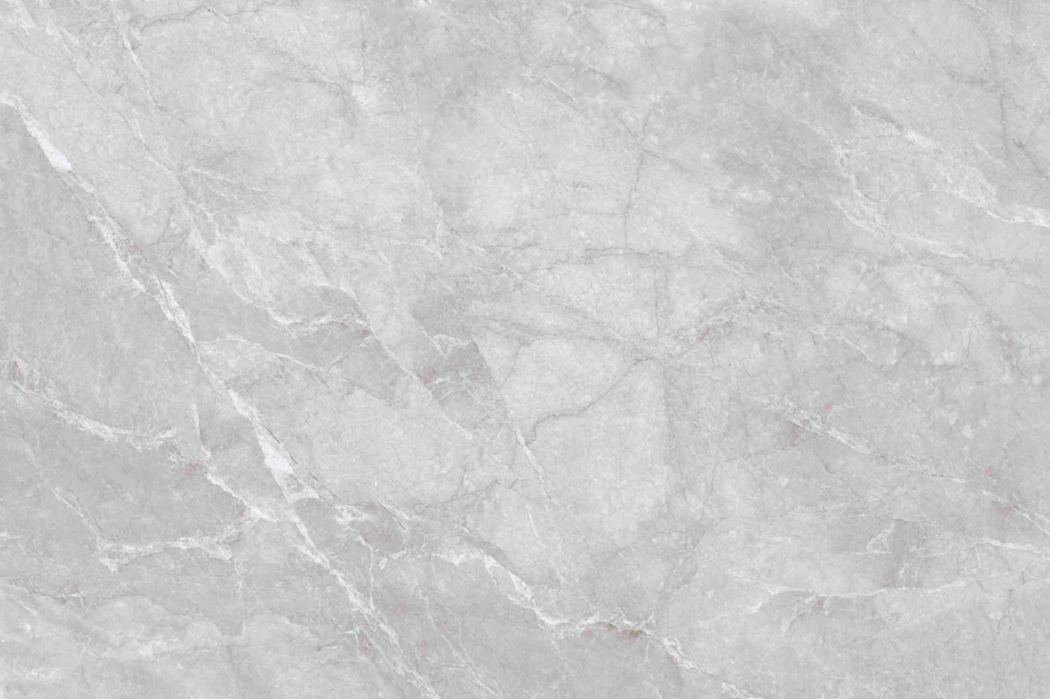 Venchy Grey Beyond