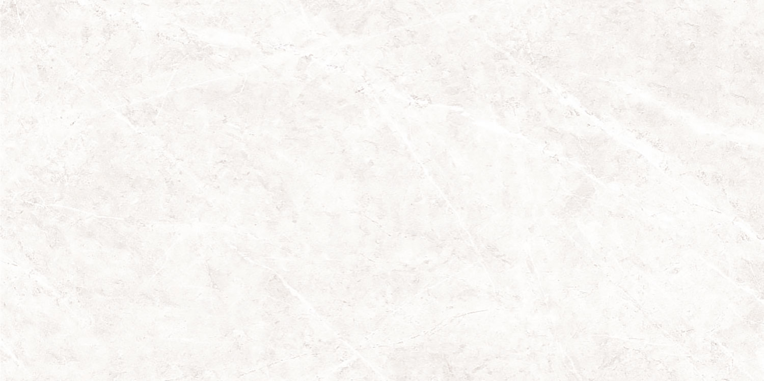 Lykra Silver