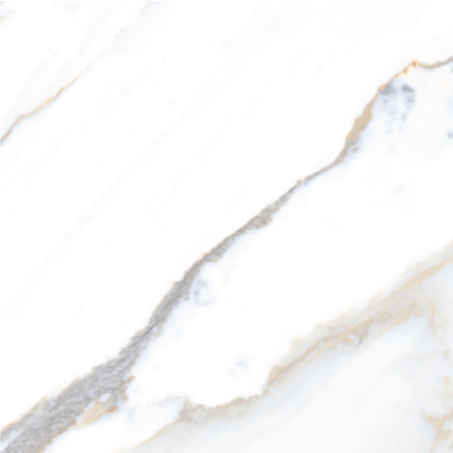 Contessa White A
