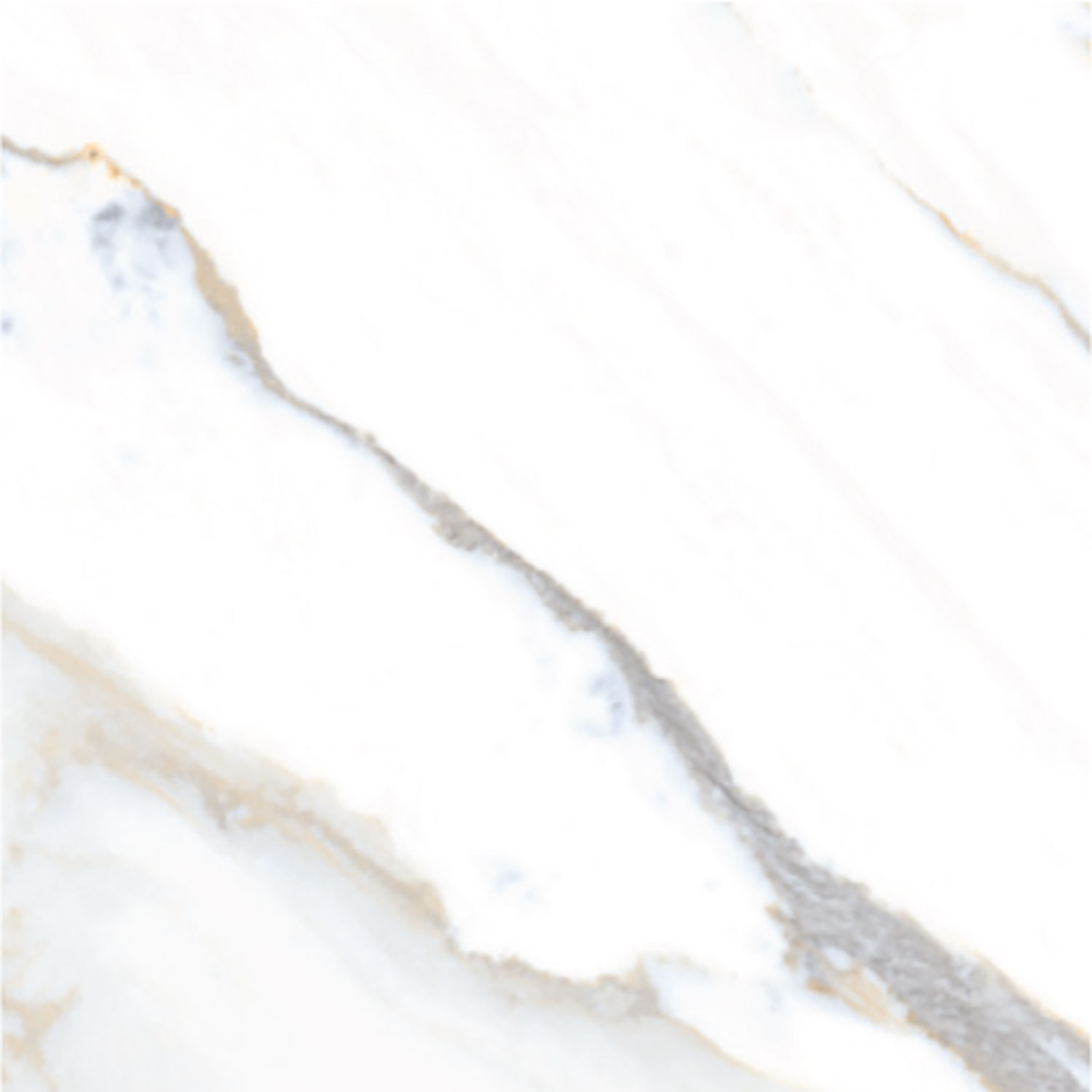 Contessa White B