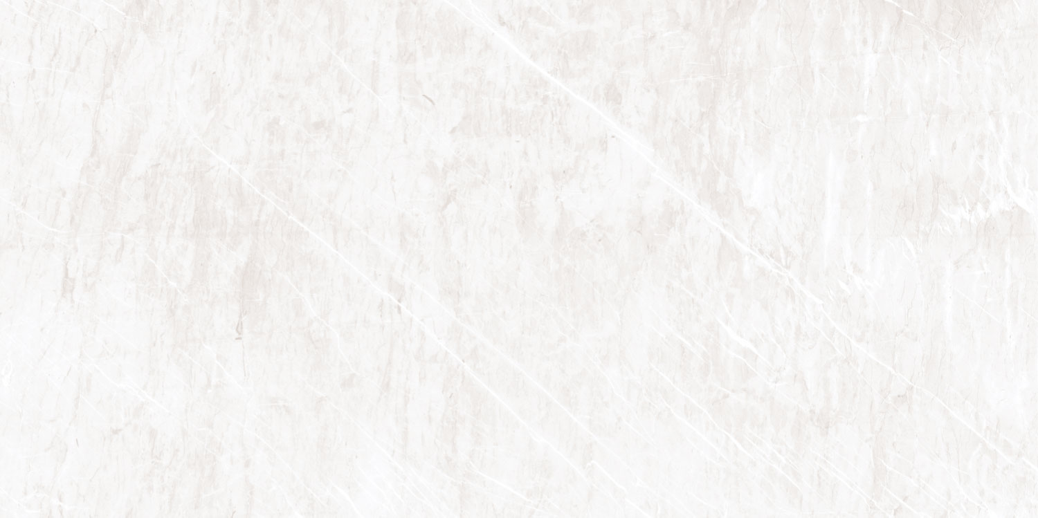 Lykra Silver