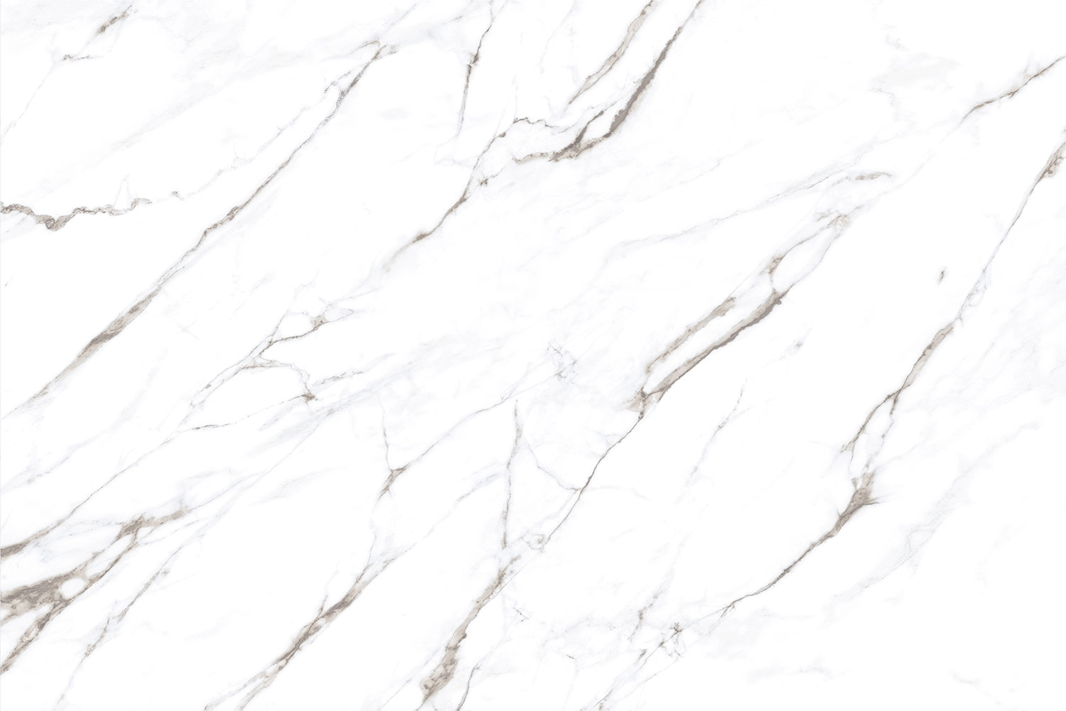 Carrara White