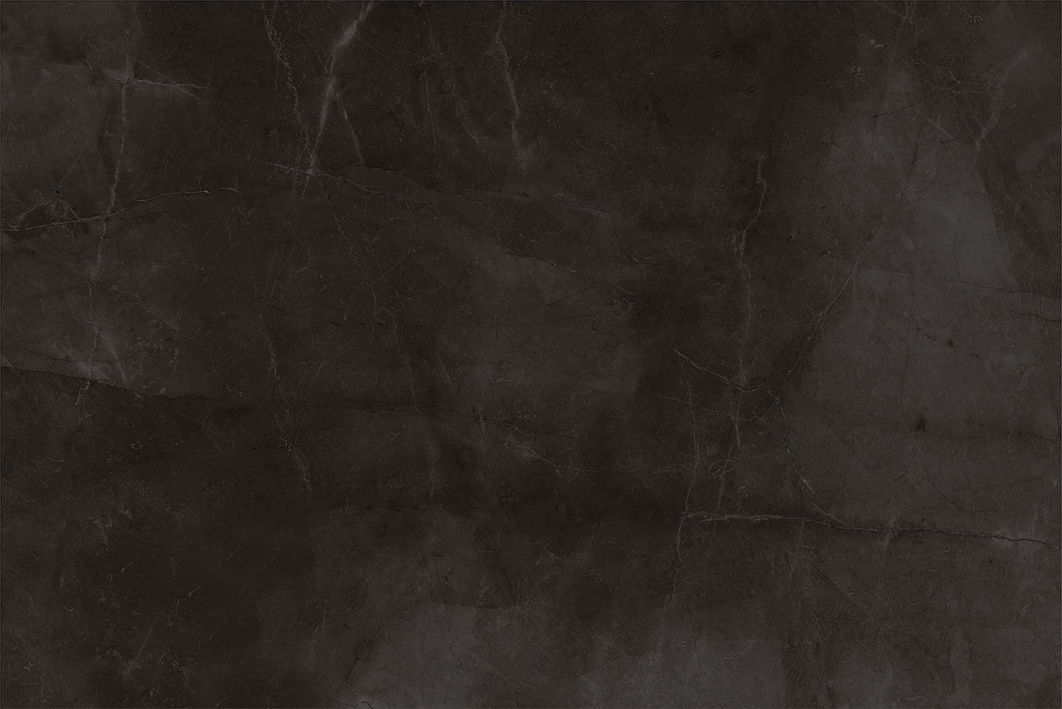 Belveder Gris