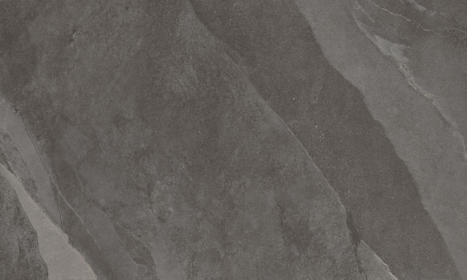 Cardoso Grey