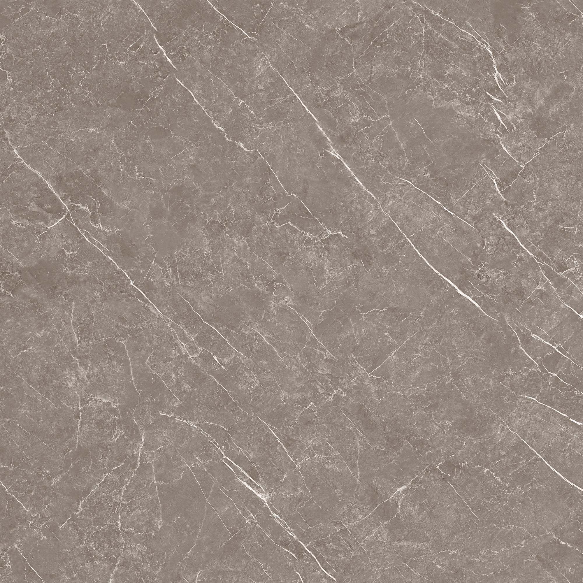 Miyaki Grey