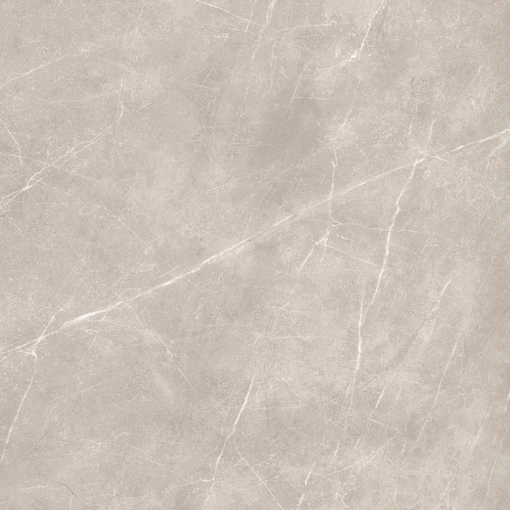 Pavi Grey