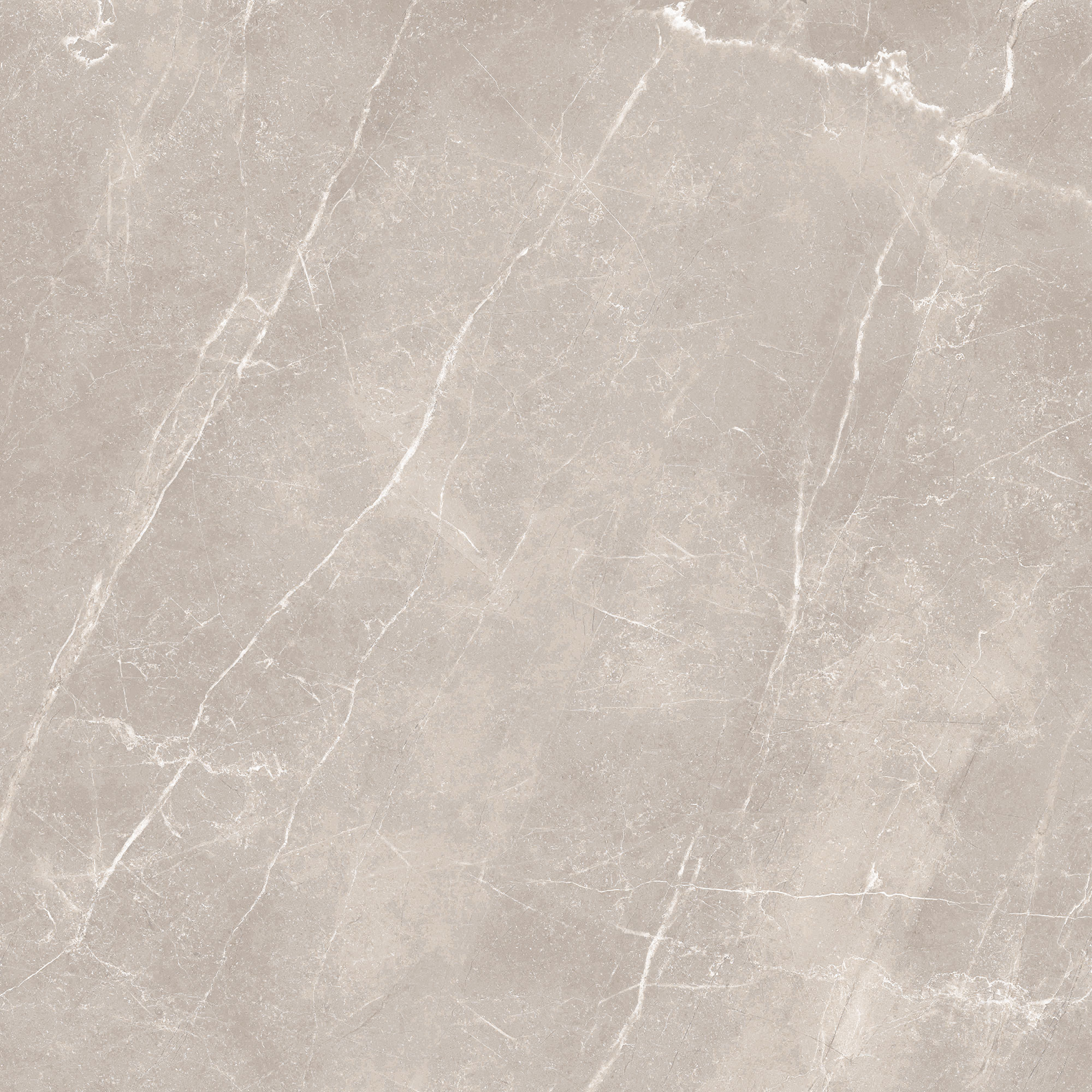 Pavi Grey