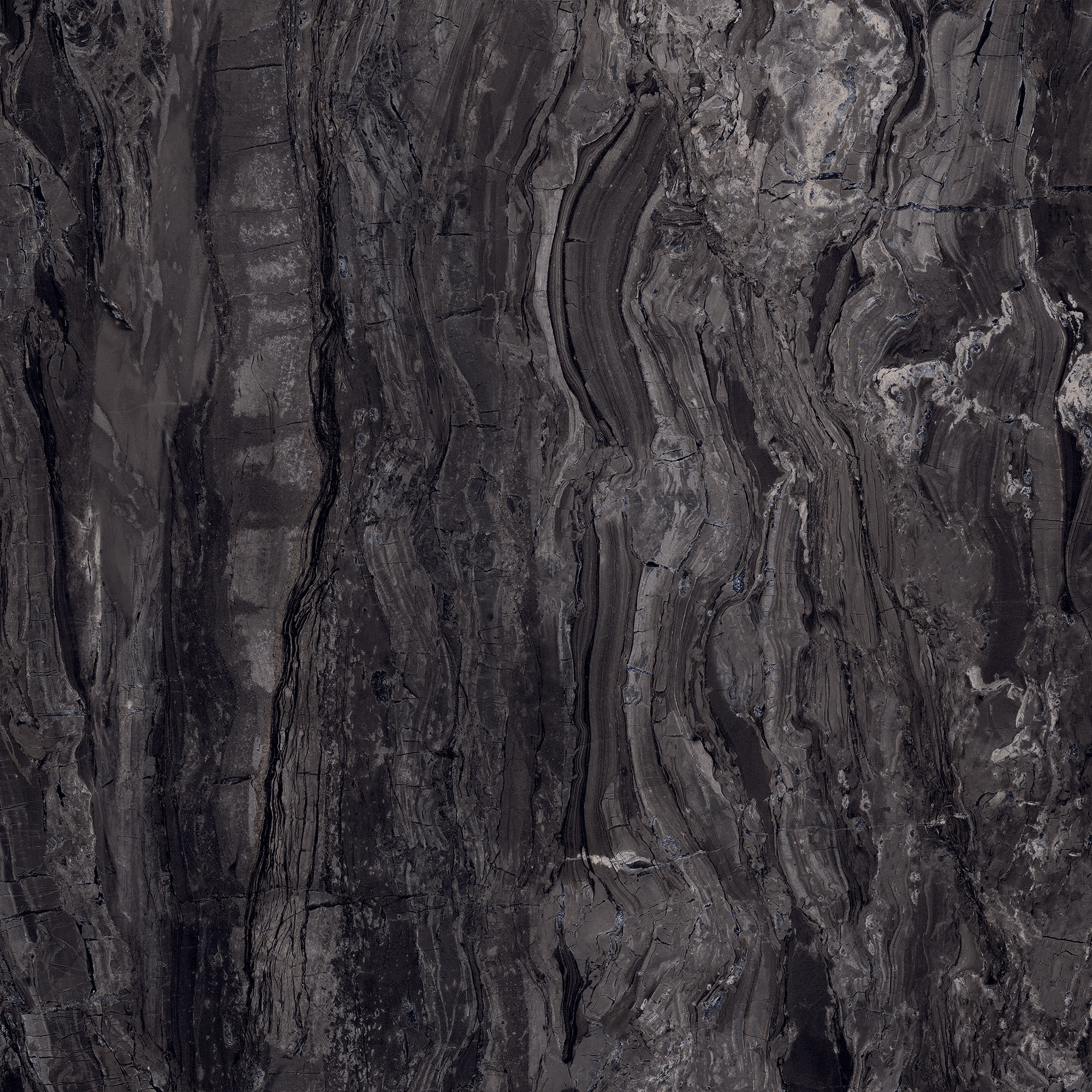 Charcoal Nero