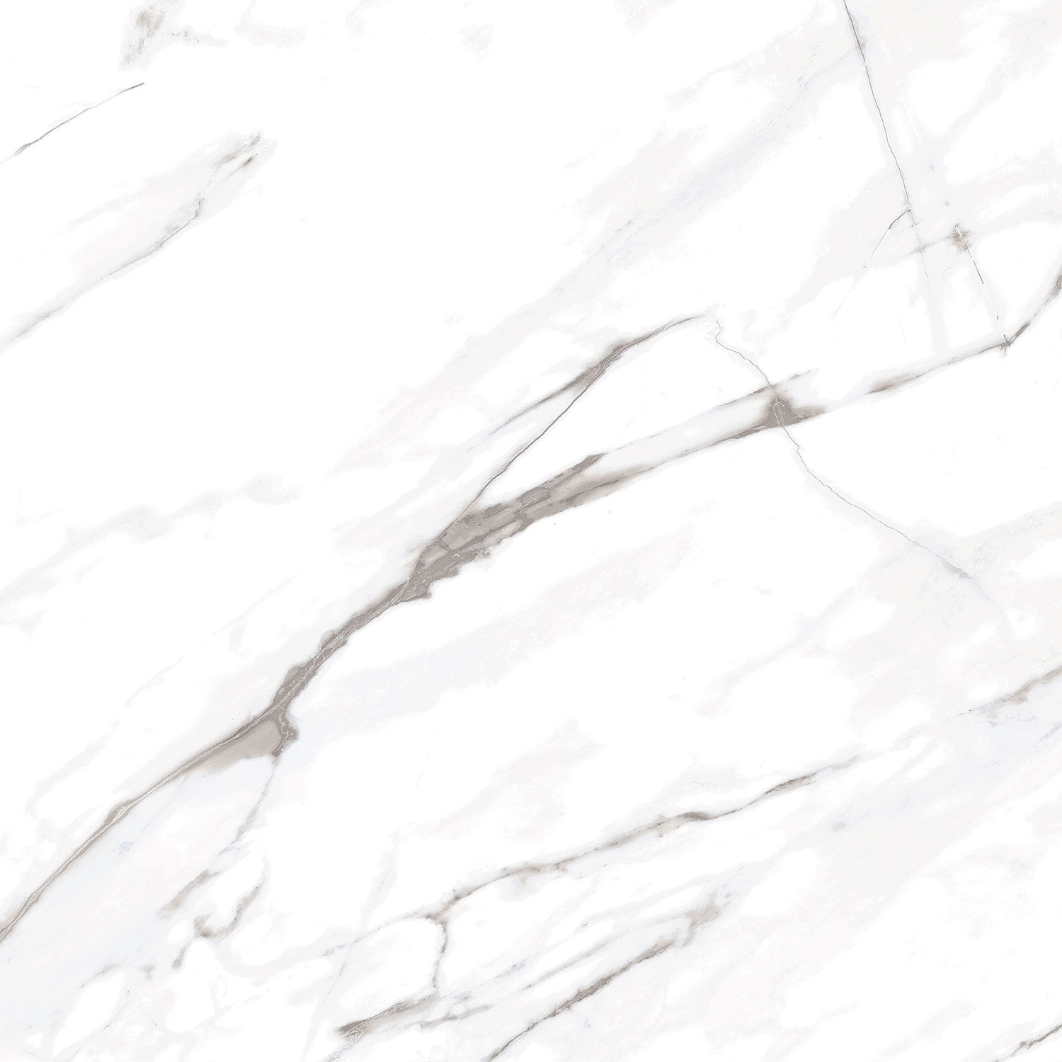 Carrara White
