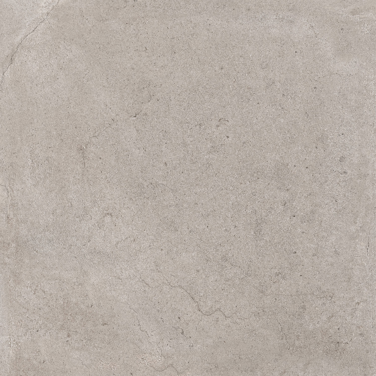 Daytona Grey Beyond