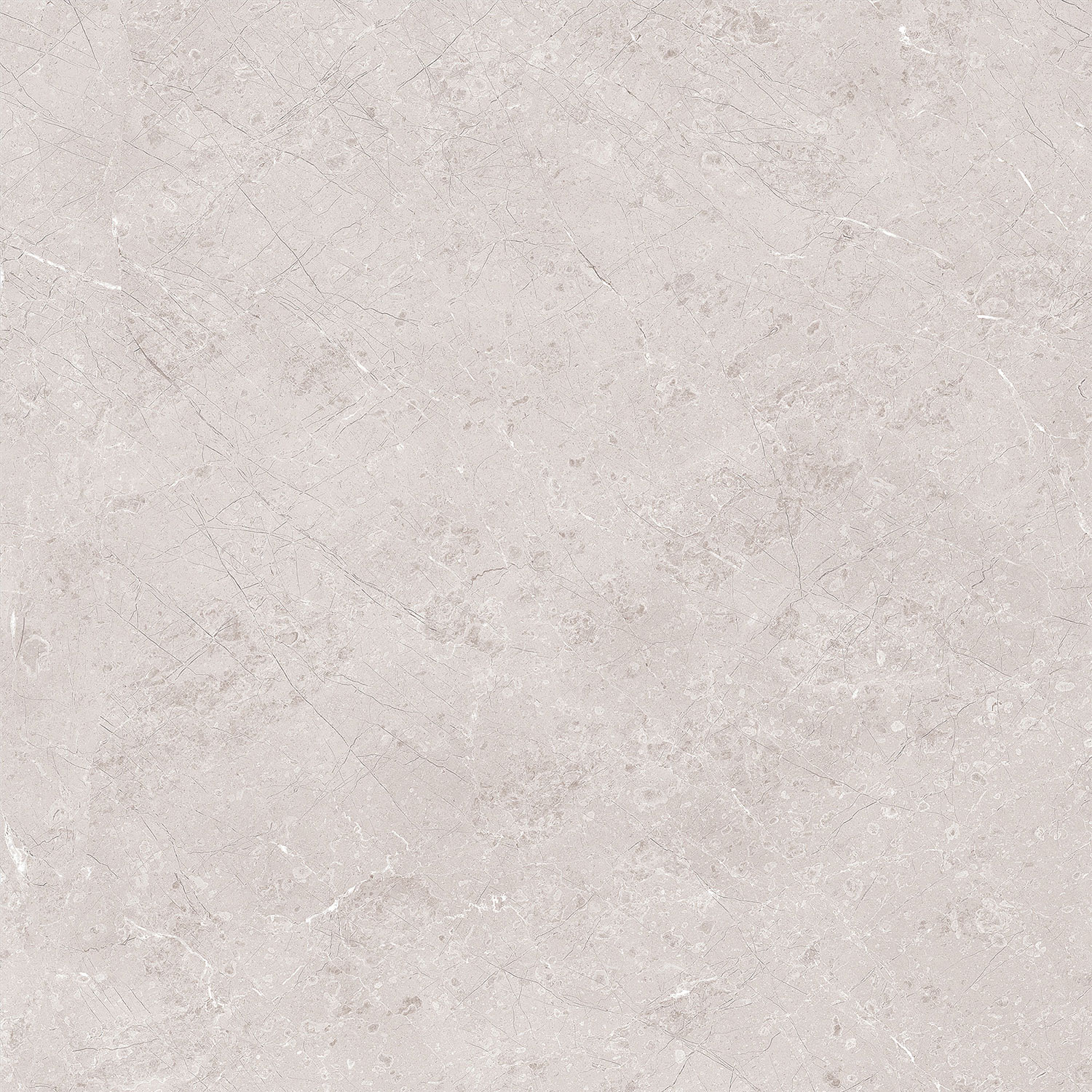 Gozzio Grey Beyond