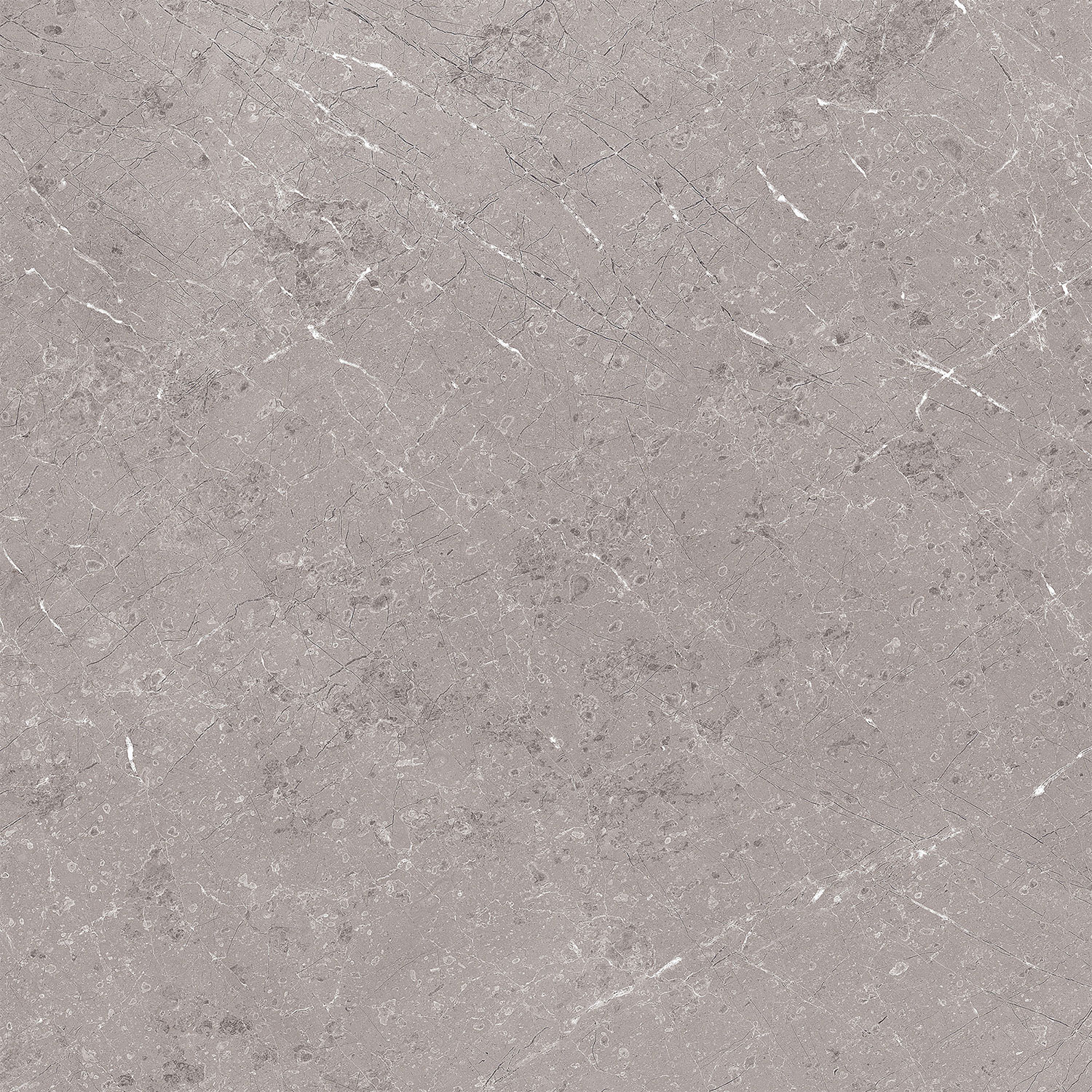 Gozzio Gris