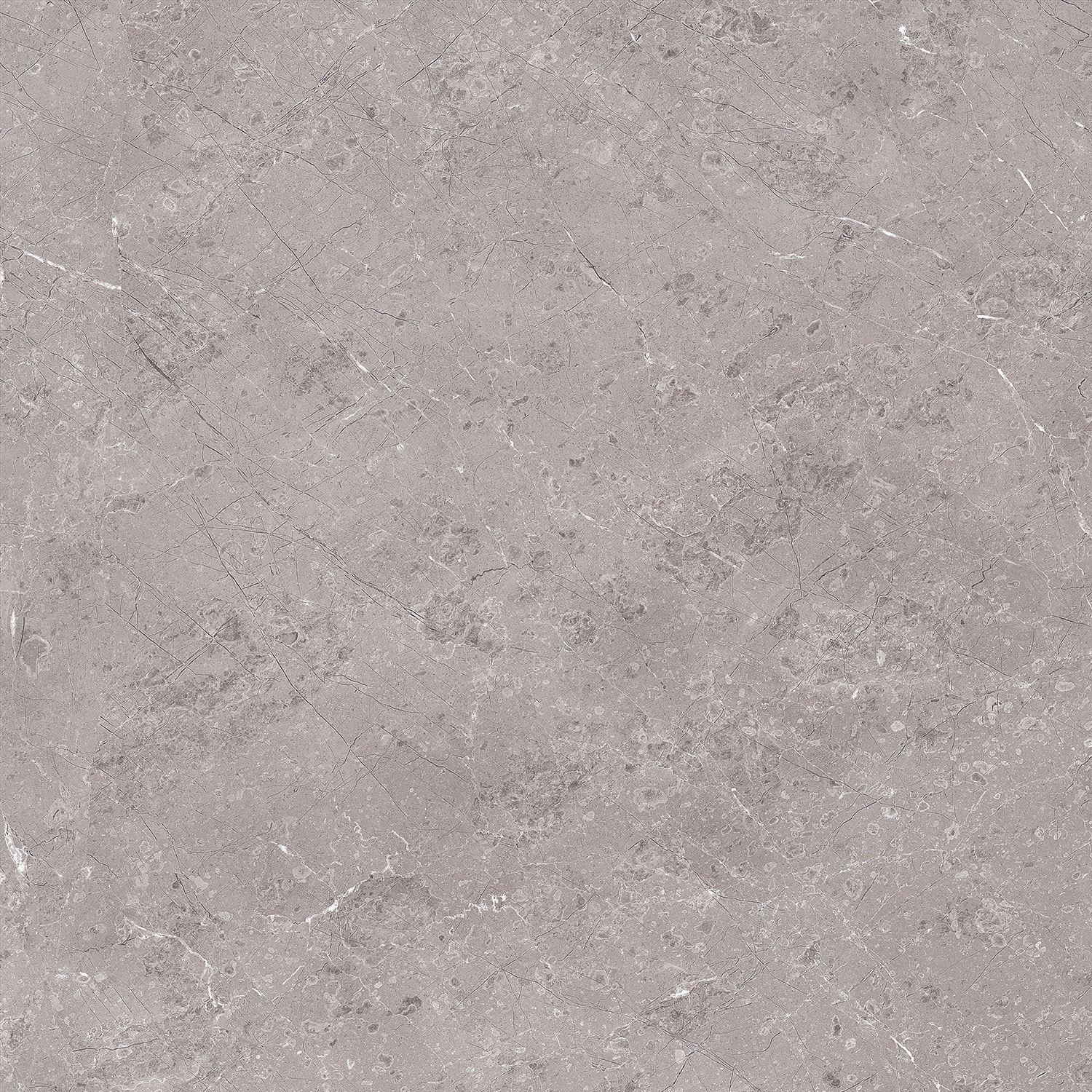 Gozzio Gris Beyond