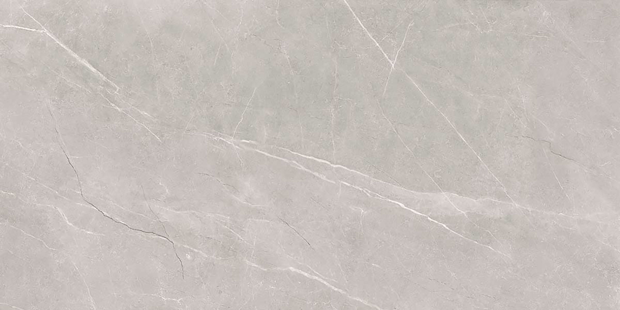 Pavit Grey