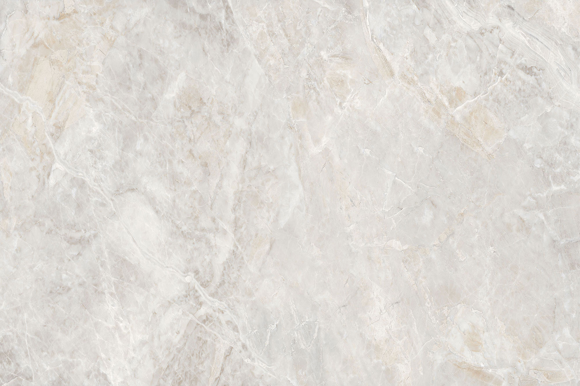 Bonaldo Silver Blend C+