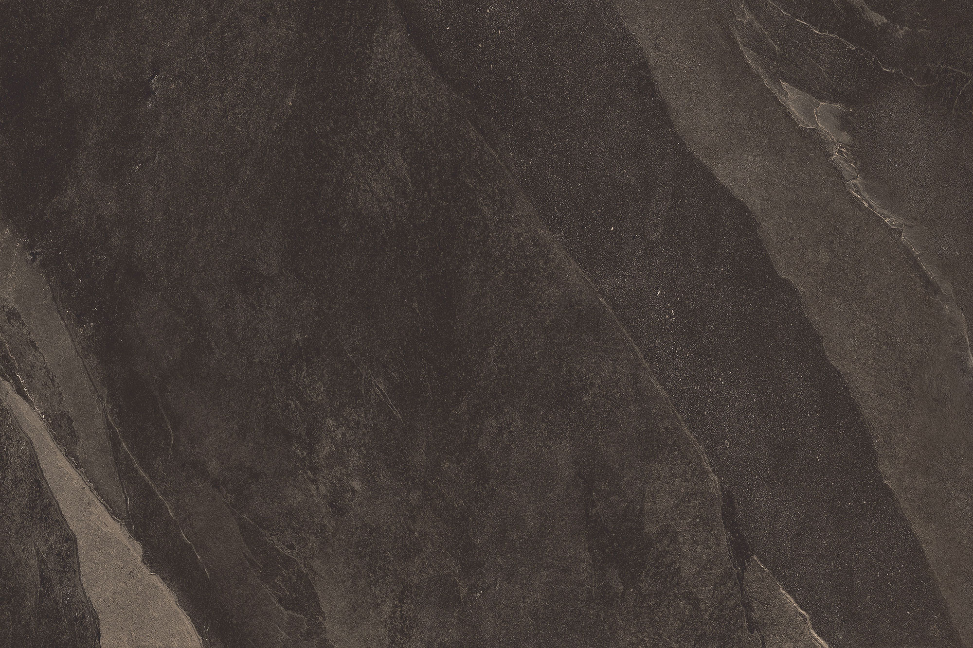 Cardoso Bronze Bold