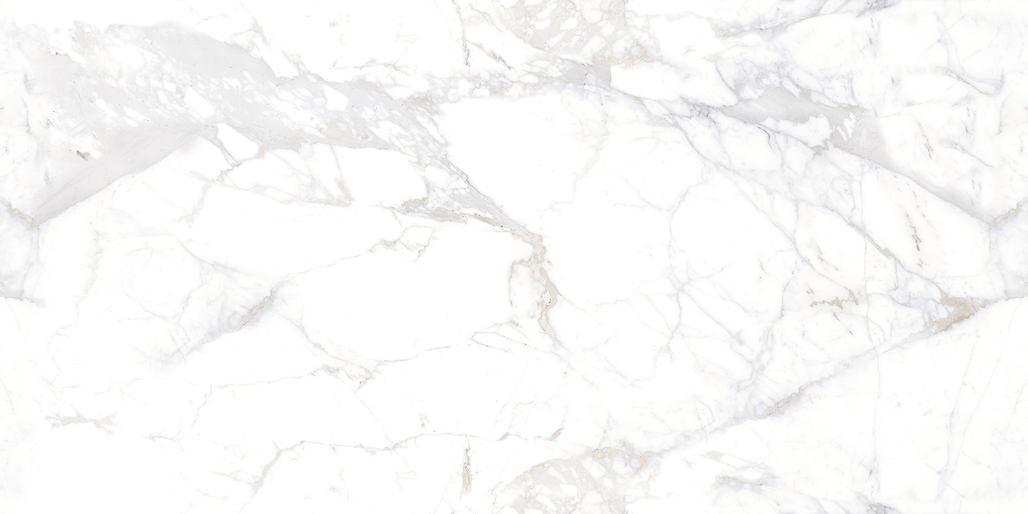Carrara Snow Beyond Edls