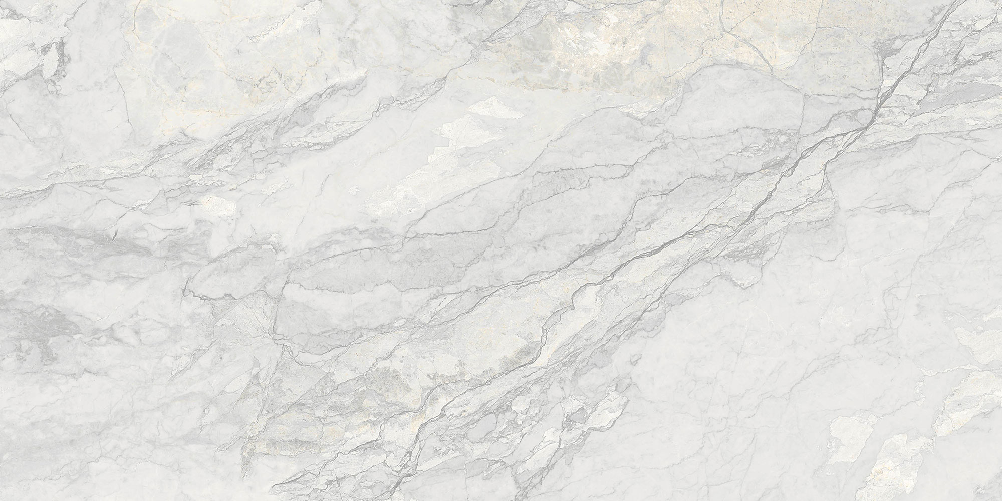 Alcamo Bianco