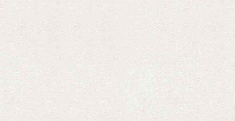 K 12647